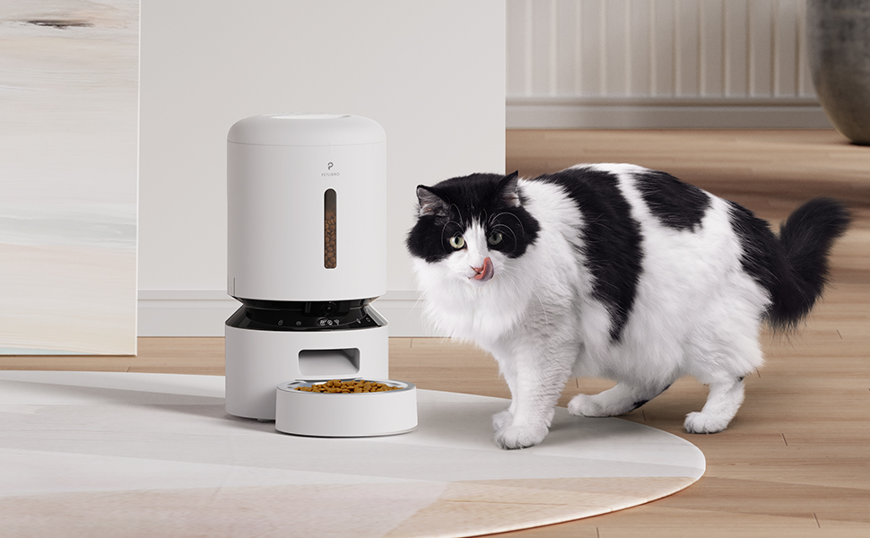Best Automatic Cat Feeders (2026): Compare 6 Options