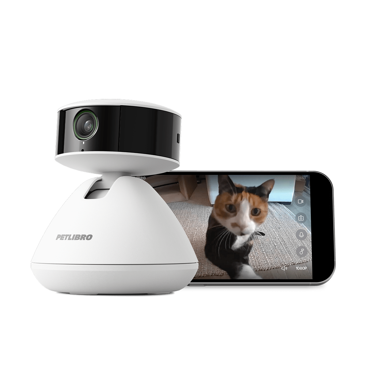 PETLIBRO Scout vs Tapo C260 for Cats: Cloud AI or Local Recording?