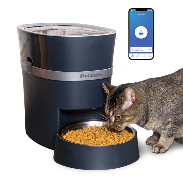 PetSafe Smart Feed automatic feeder with a cat and app display